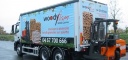 Transmanut - Woodyflam.jpg