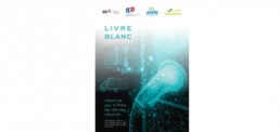 LIVRE-BLANC-vehicules-indus-electrique-1 (1)_pages-to-jpg-0001.jpg